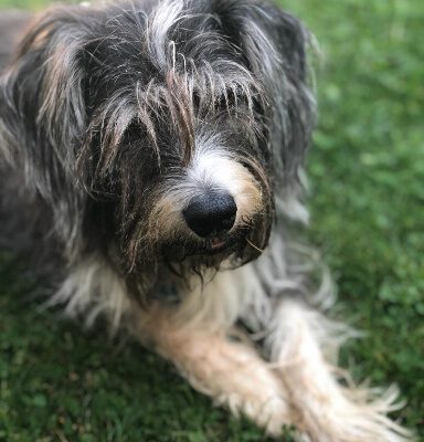 Spike