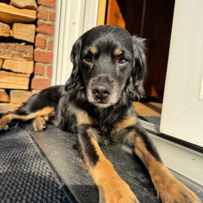 Blacky