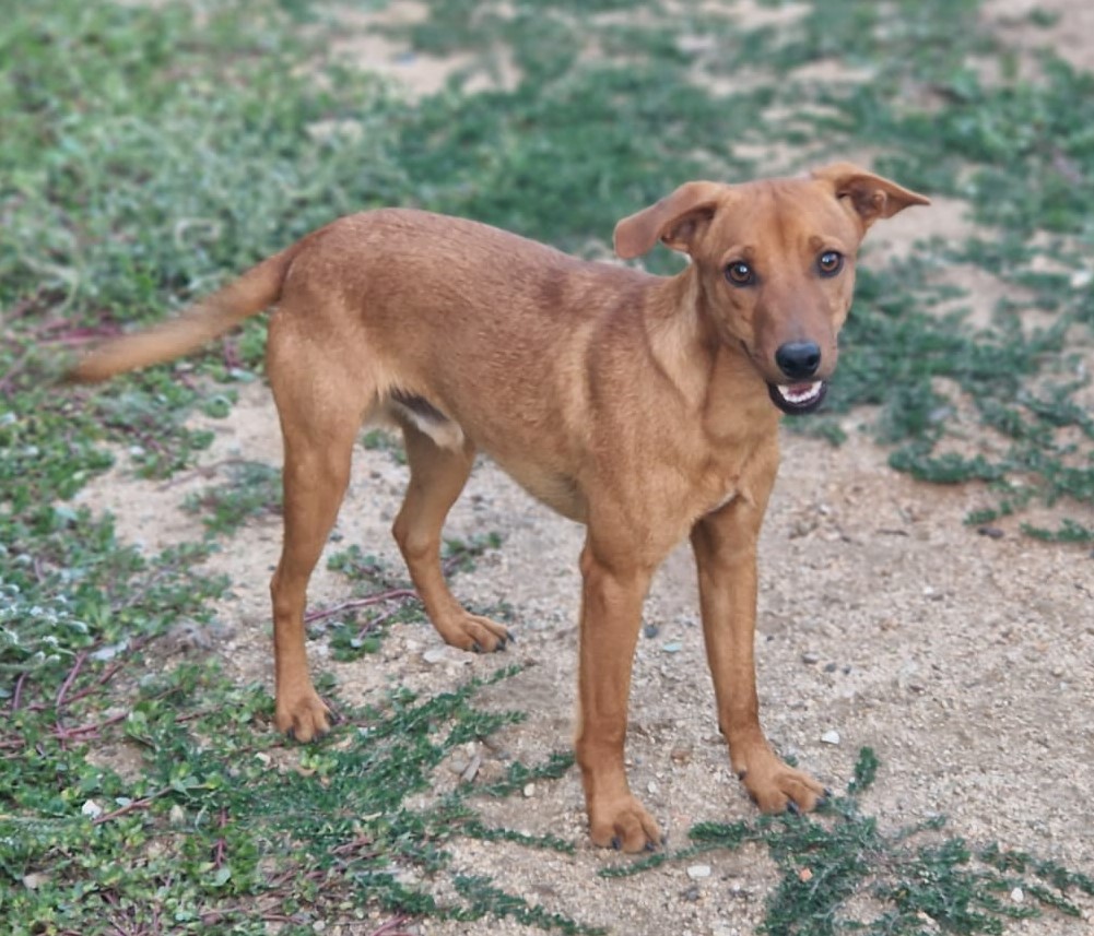 Tullio02102024-1.jpg