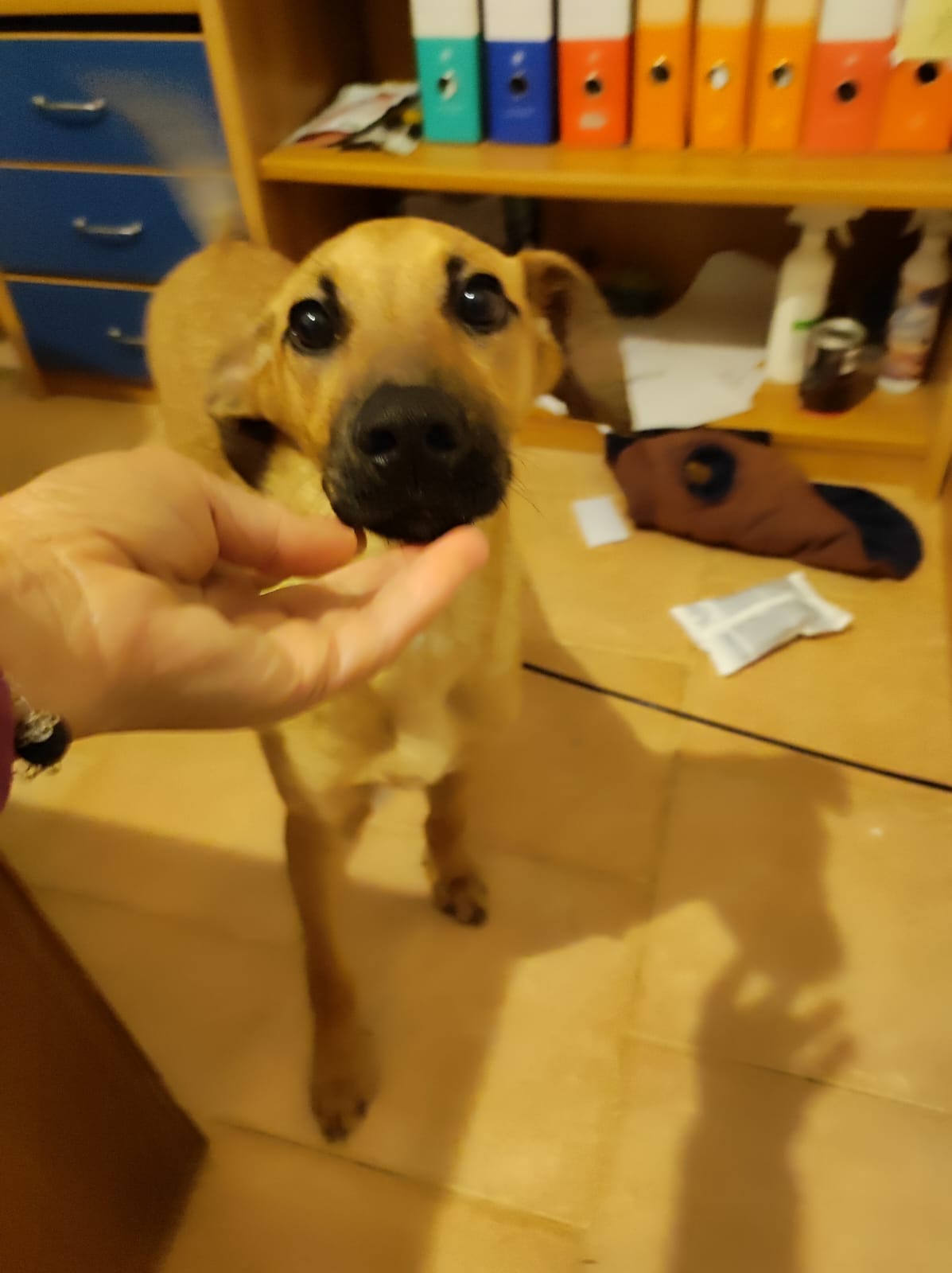 Milo10122024-2.jpg