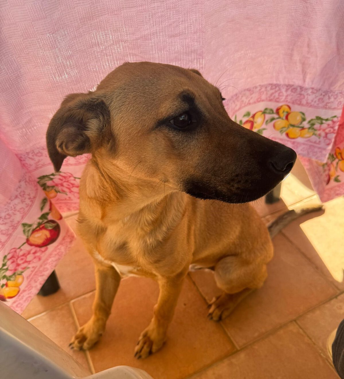 Milo10122024-4.jpg