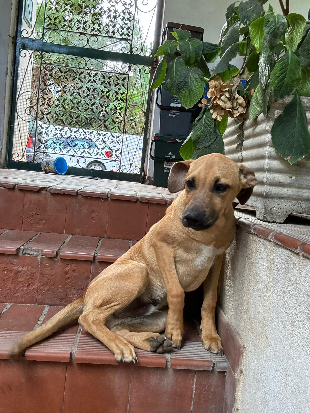 Milo10122024-7.jpg