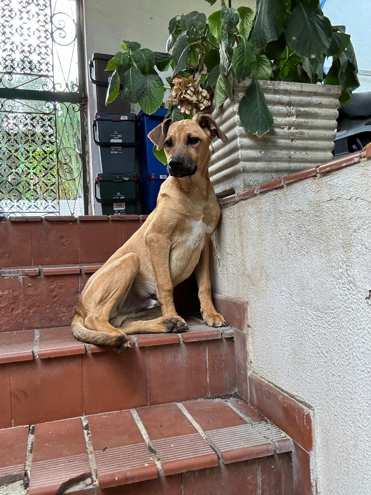 Milo10122024-8.jpg