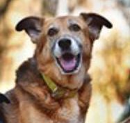 k-k9353-1-1-e1733690244188.jpeg