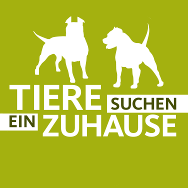 Niemandshunde beim WDR