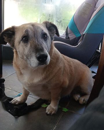 Molly