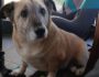 Molly -ab 25.05. in D-