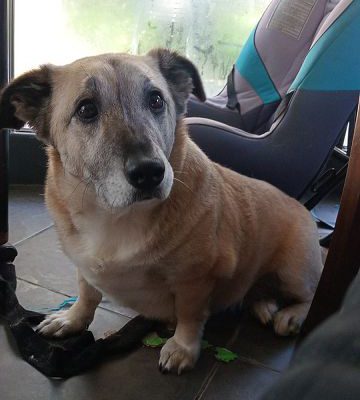 Molly
