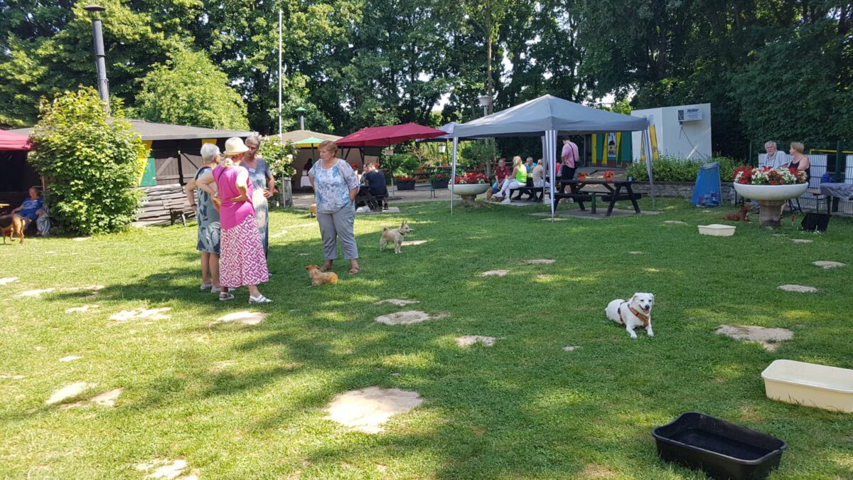 Sommerfest 2025