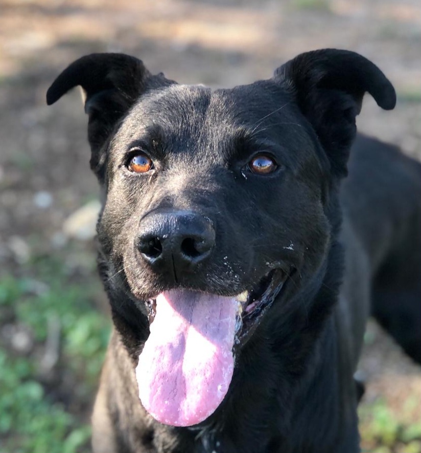 Bruce -ab 23.11. in D-