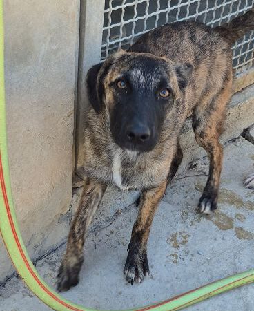 Lattuga -ab 23.11. in D-