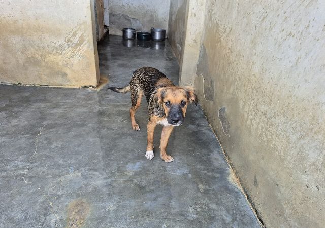 Floyd -ab 23.11. in D-