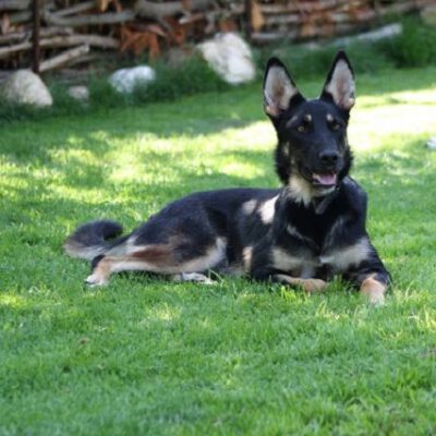 Fiona