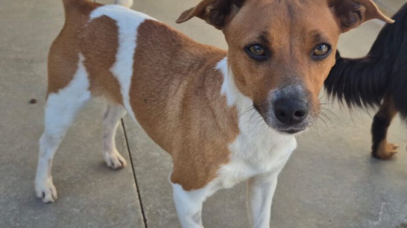 Clizia -ab 21.03. in D-