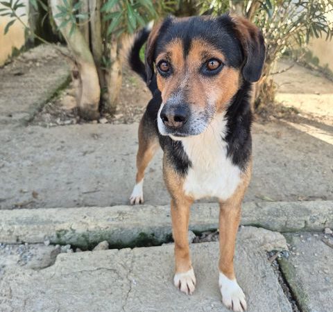 Andrea -ab 30.04. in D-