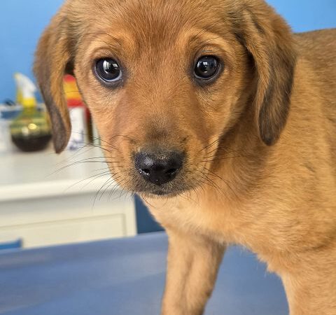 Coffee -ab 30.04. in D-