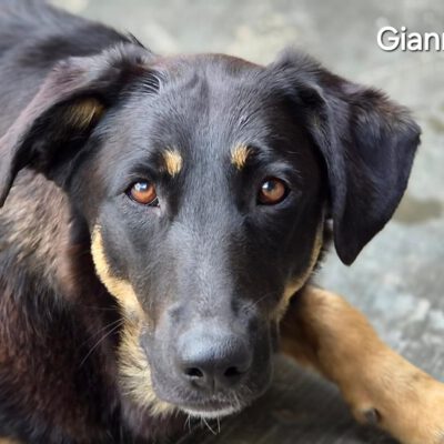 Gianna -ab 23.05. in D-