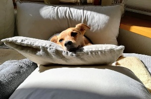 Tim
