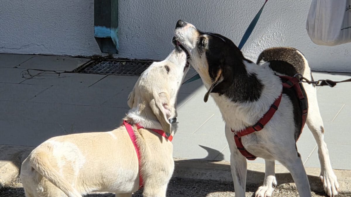 Mama und Tochter