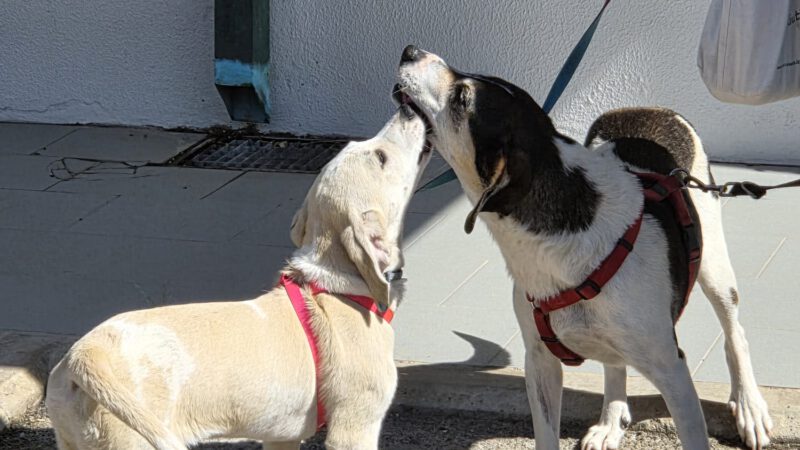 Mama und Tochter