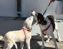 Mama und Tochter