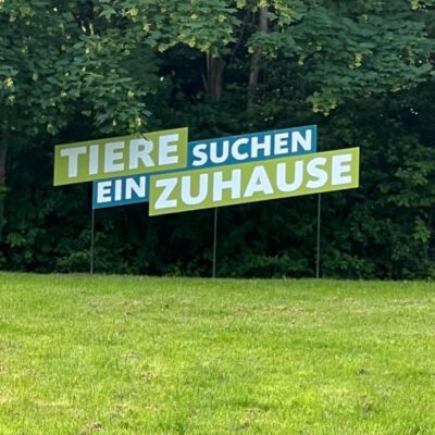 Tiere suchen ein Zuhause