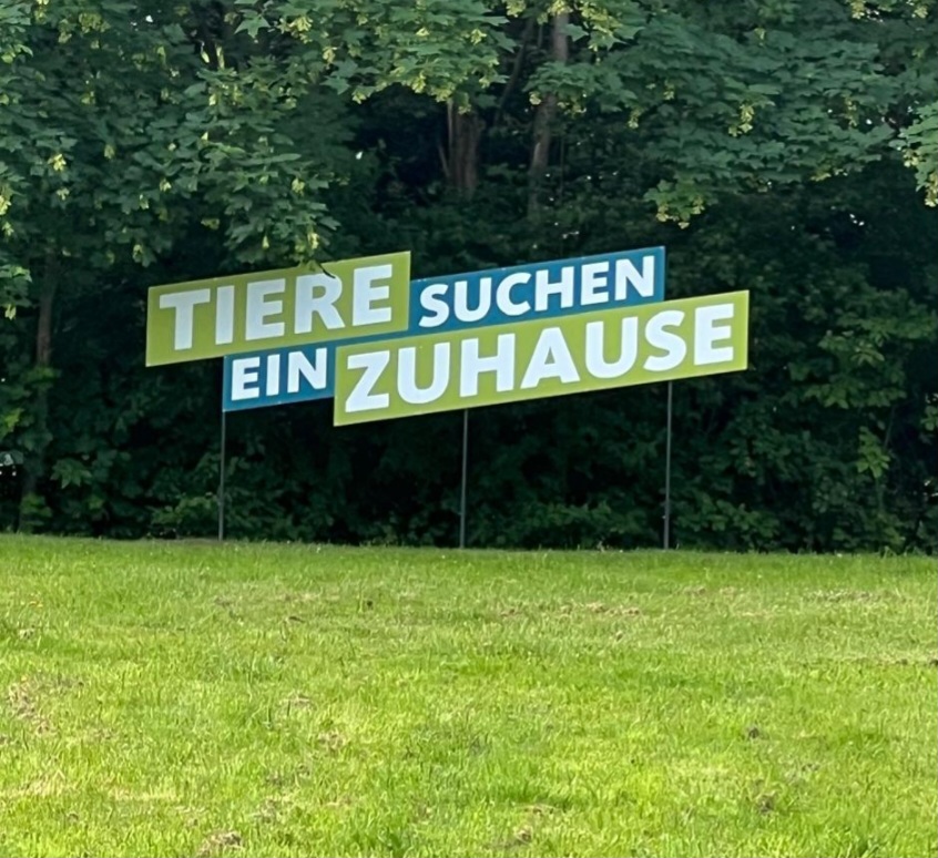 Tiere suchen ein Zuhause