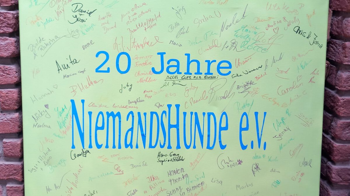 20 Jahre Niemandshunde