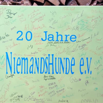 20 Jahre Niemandshunde