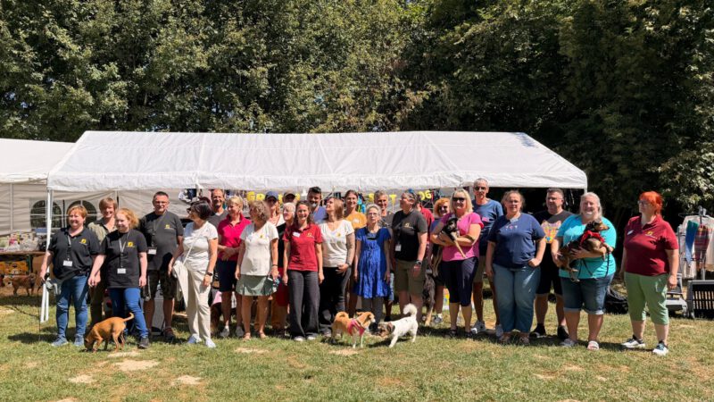 Bilder vom Sommer-Jubiläumsfest